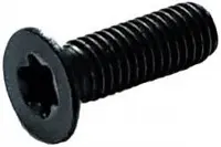 Senkkopfschraube für Vorschneider, M6x10 (Kopf D8.8mm) T20