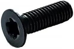 Senkkopfschraube für Vorschneider, M6x10 (Kopf D8.8mm) T20