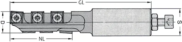 WPL Schruppfräser Z1+1, D=22mm, NL=60mm, GL=131mm, S=25mm, RL