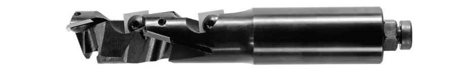 WPL Schruppfräser Z1+1, D=25mm, NL=66mm, GL=138mm, S=20mm, RL