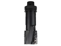 WPL Entkernfräser - Monoblock, D=67mm, NL=67mm, AL=215mm, GL=246mm, Z2, HSK-F63