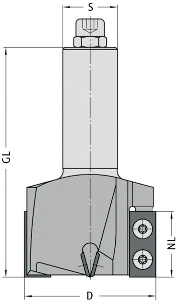 WPL Nut- und Planfräser Z2+2, D=60mm, NL=30mm, GL=105mm, S=25mm, R
