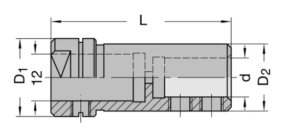 Schnellwechselfutter, D=20mm, GL=46mm, d=10mm, Weeke