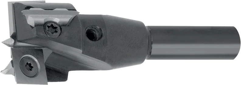 WPL Zylinderkopfbohrer Z2+2, D=25mm, GL=70mm, S=10x30mm, R