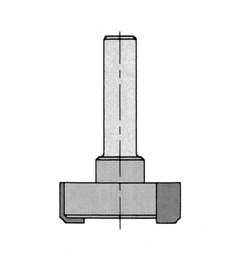 HW Planfräser Z2, D=30mm, NL=10mm, GL=50mm, S=12mm, R