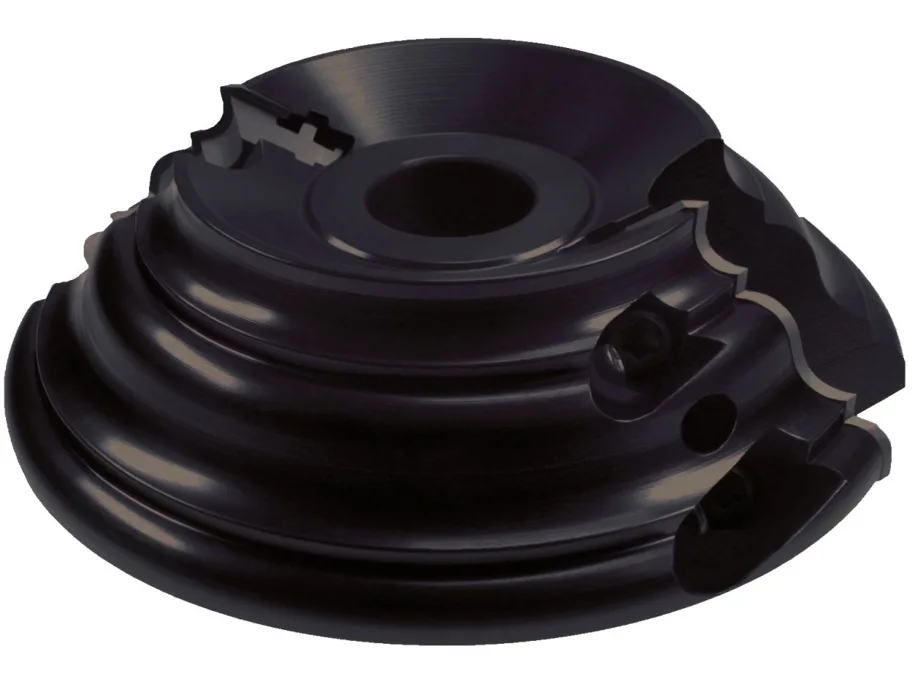 WPL Gesimsfräser, D=170mm, ND=100mm, HD=43mm, BO=30mm, Z=2, R, Aluminium