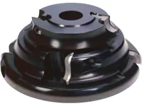 WPL Gesimsfräser, D=190mm, ND=100mm, BO=30mm, Z=2, R, Aluminium